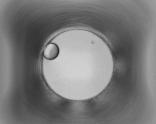 X0000115521514200911061013