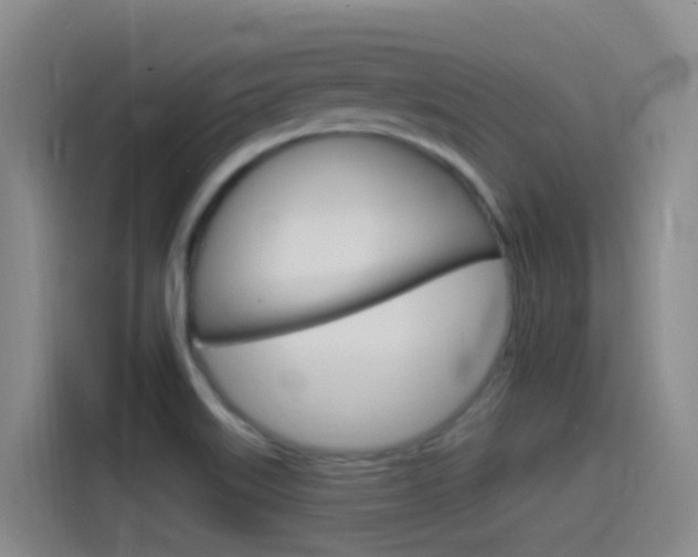 X0000115521515200911061013