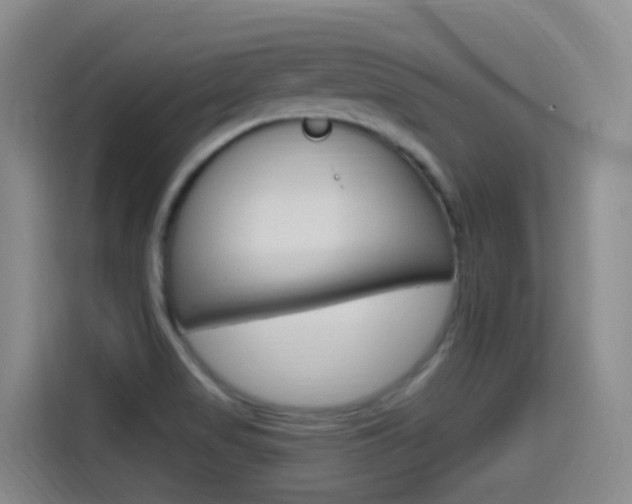 X0000115521517200911061013