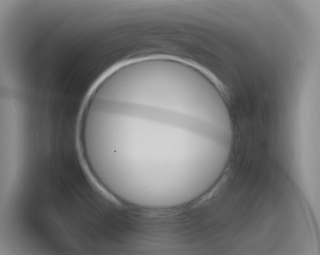 X0000115521518200911061013