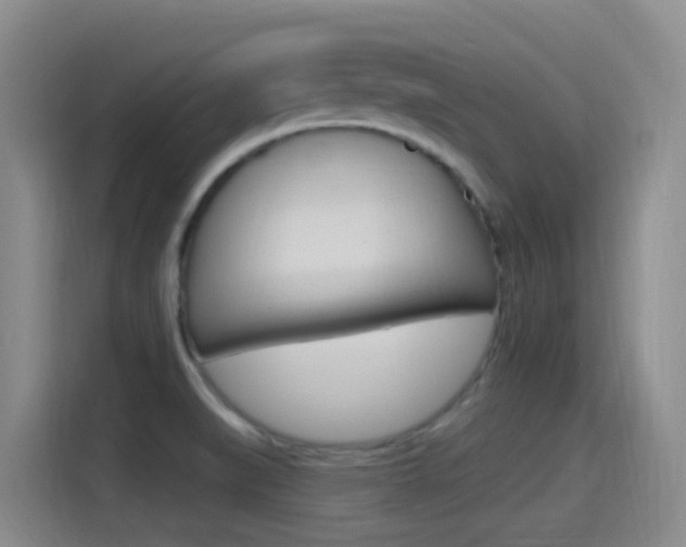 X0000115521519200911061013