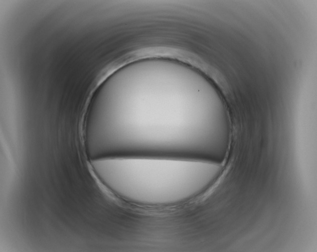 X0000115521521200911061013