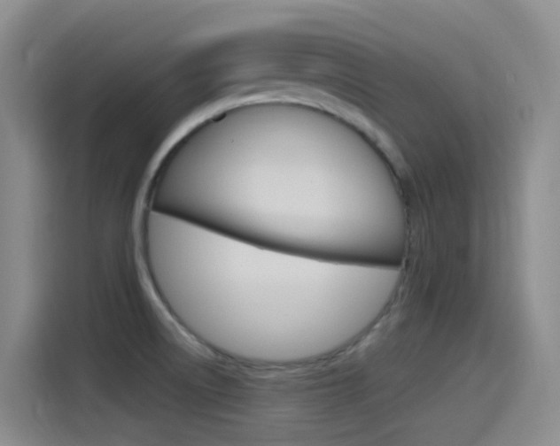 X0000115521522200911061013