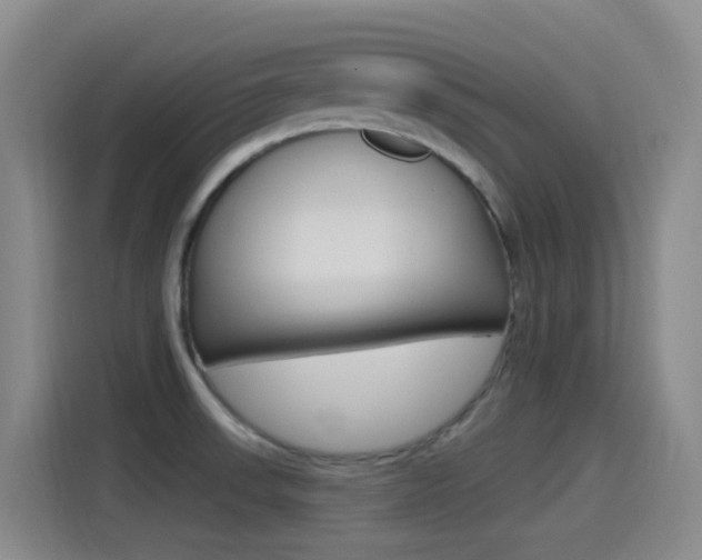 X0000115521523200911061013