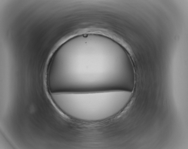 X0000115521525200911061013
