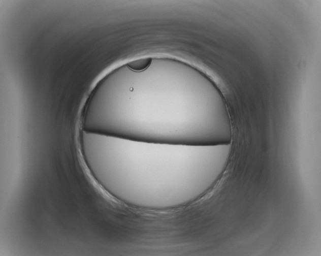 X0000115521526200911061013