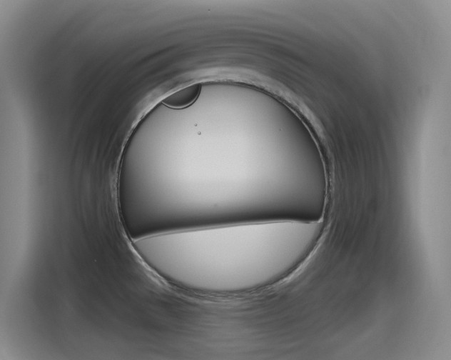 X0000115521529200911061013