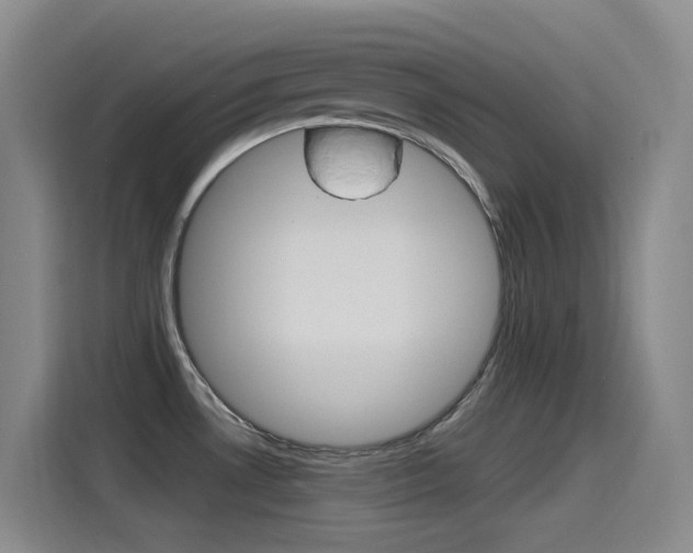 X0000115521530200911061013