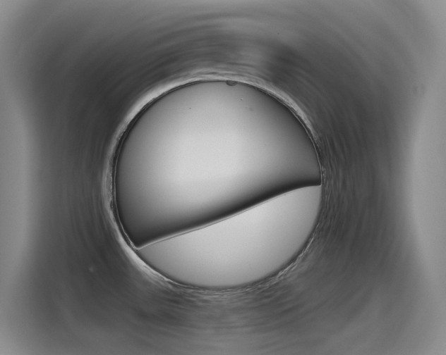 X0000115521531200911061013