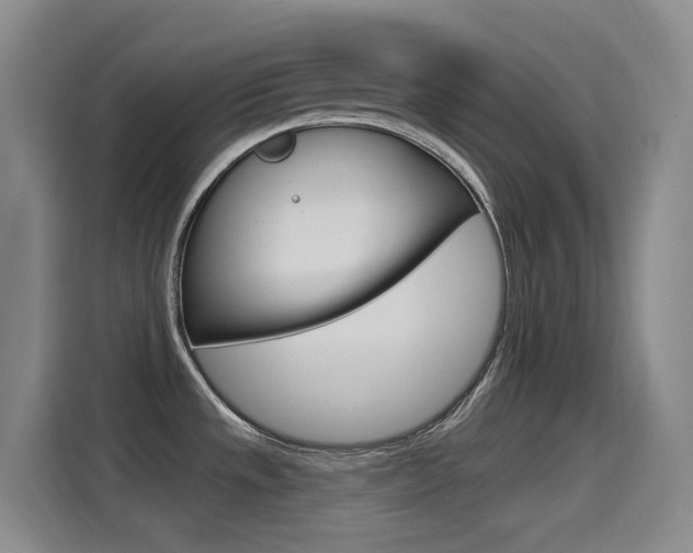 X0000115521533200911061013