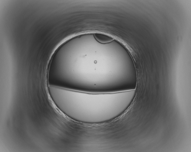 X0000115521534200911061013