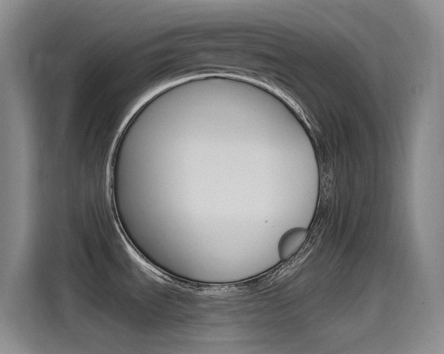 X0000115521535200911061013