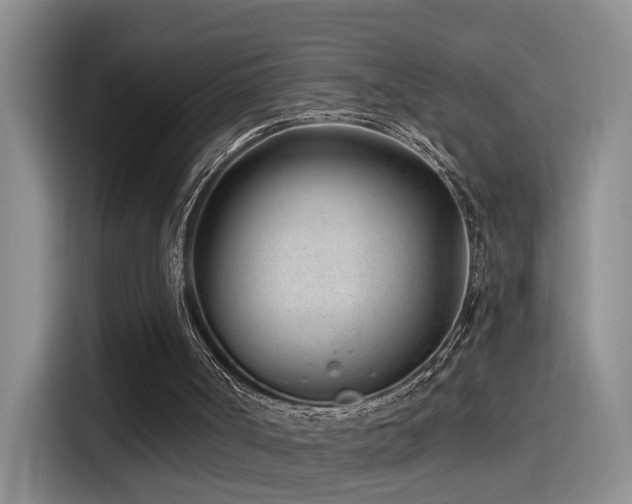 X0000115520002200911061426