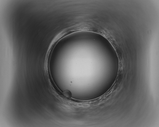 X0000115520004200911061426