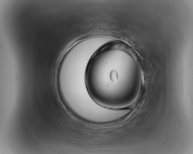 X0000115520005200911061426