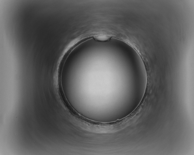 X0000115520008200911061426