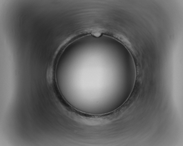 X0000115520012200911061426