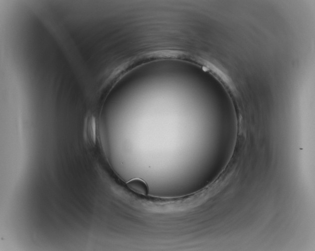 X0000115520013200911061426