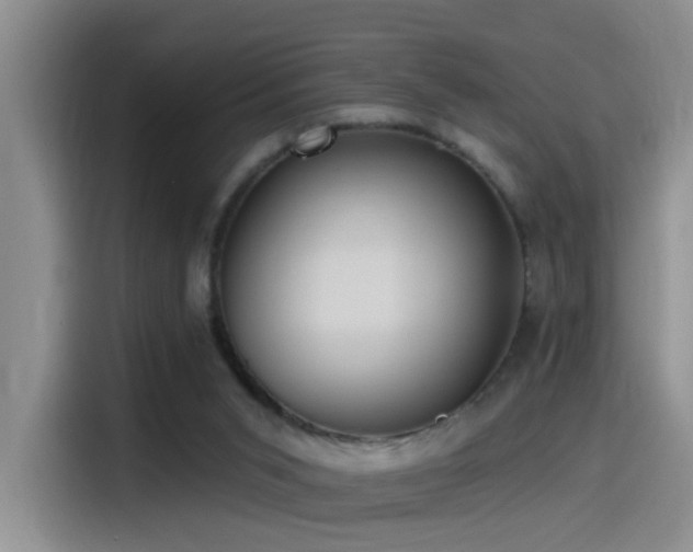 X0000115520015200911061426