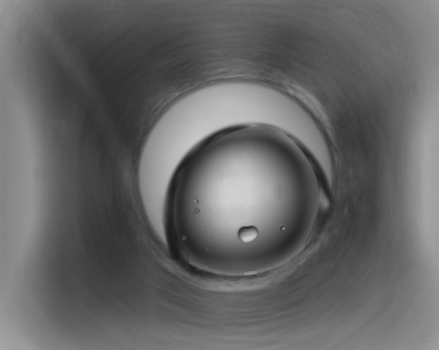 X0000115520017200911061426