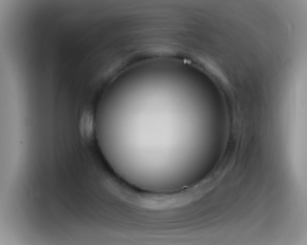 X0000115520021200911061426