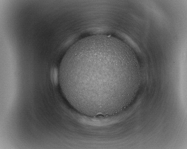 X0000115520022200911061426