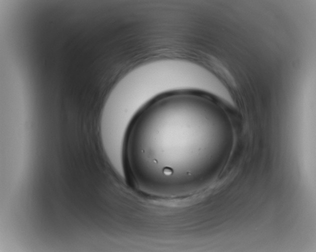 X0000115520025200911061426