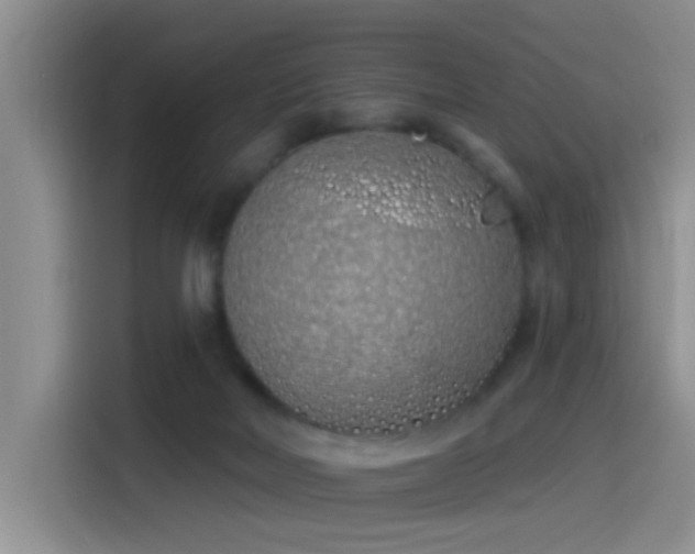 X0000115520026200911061426