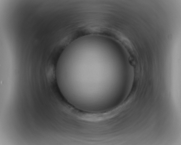 X0000115520029200911061426