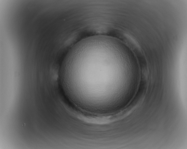X0000115520032200911061426