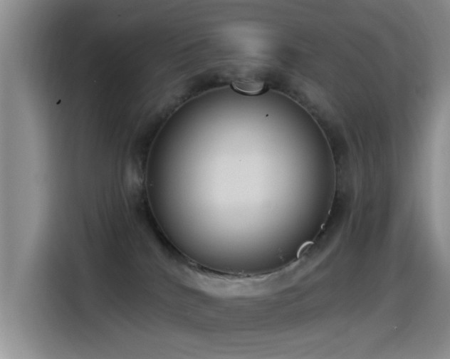 X0000115520040200911061426