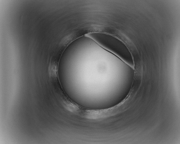 X0000115520045200911061426