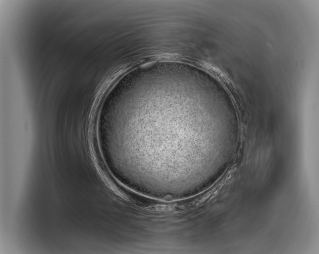 X0000115520049200911061425
