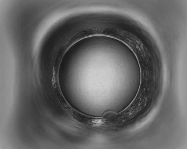 X0000115520050200911061425