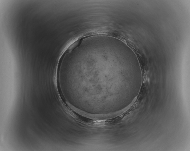 X0000115520052200911061425