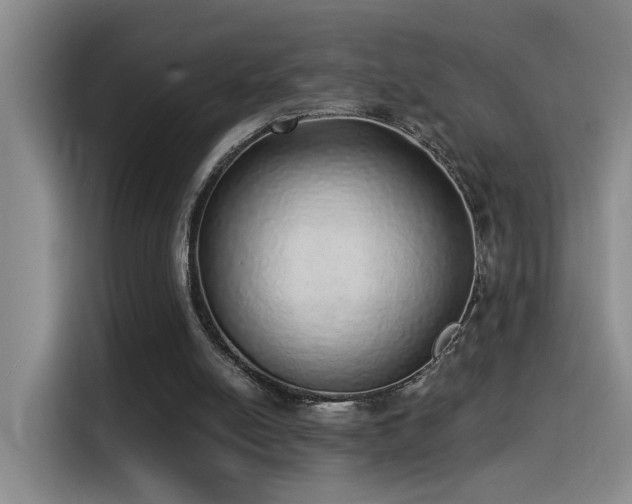 X0000115520054200911061425