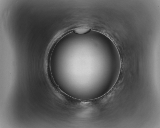 X0000115520055200911061425
