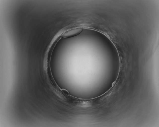 X0000115520056200911061425