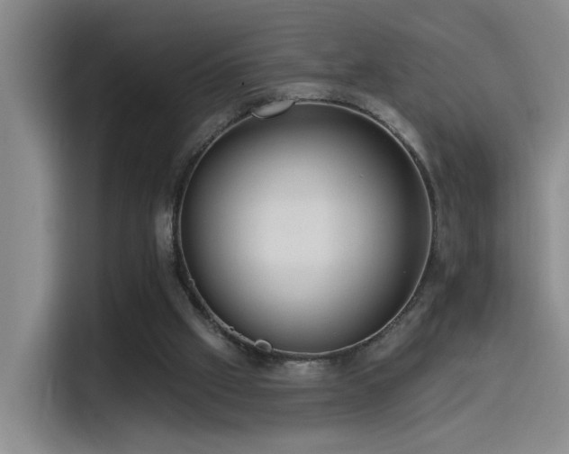 X0000115520057200911061425