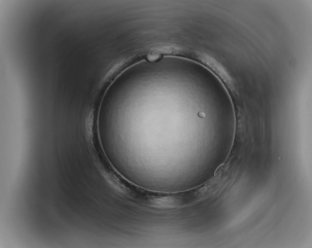 X0000115520058200911061425