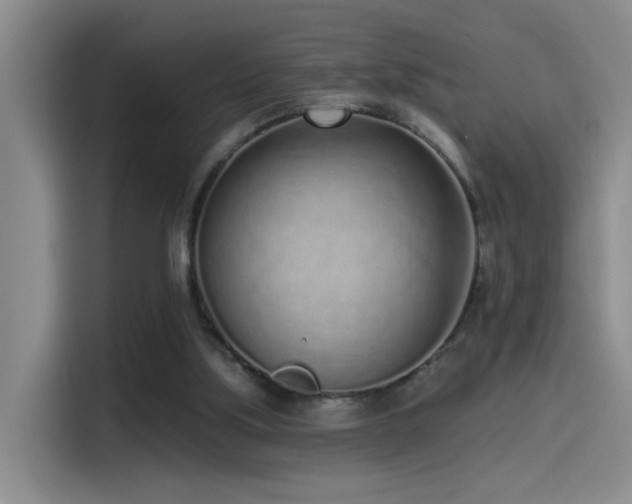 X0000115520059200911061425