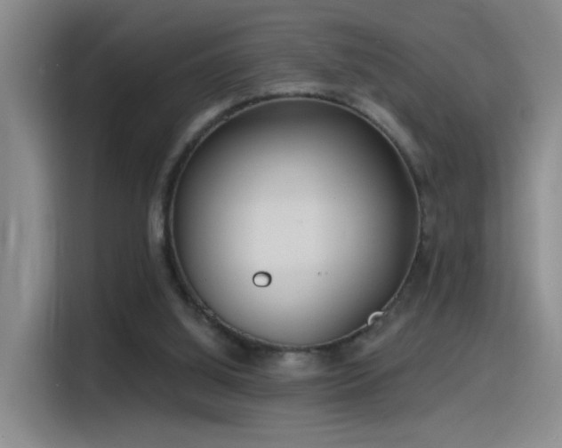X0000115520060200911061425