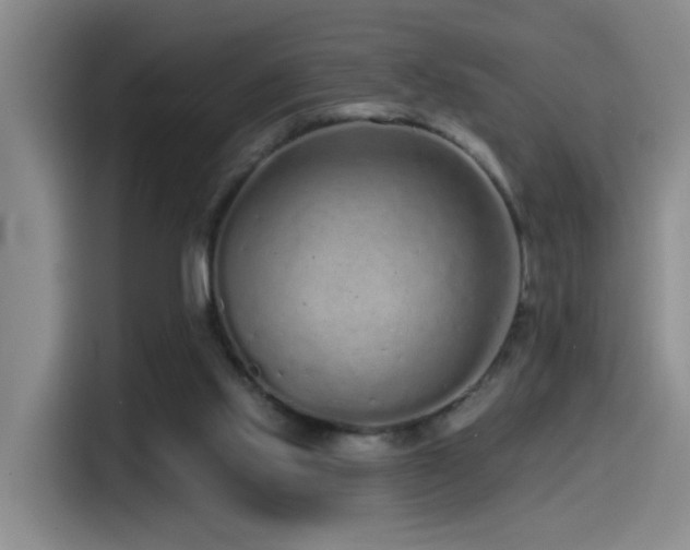 X0000115520061200911061425