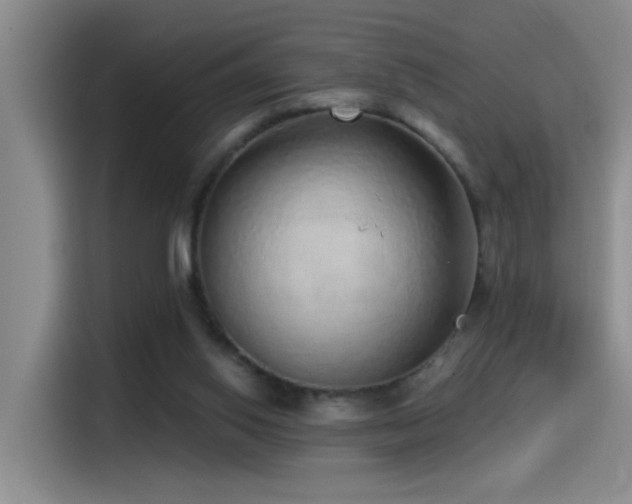 X0000115520062200911061425