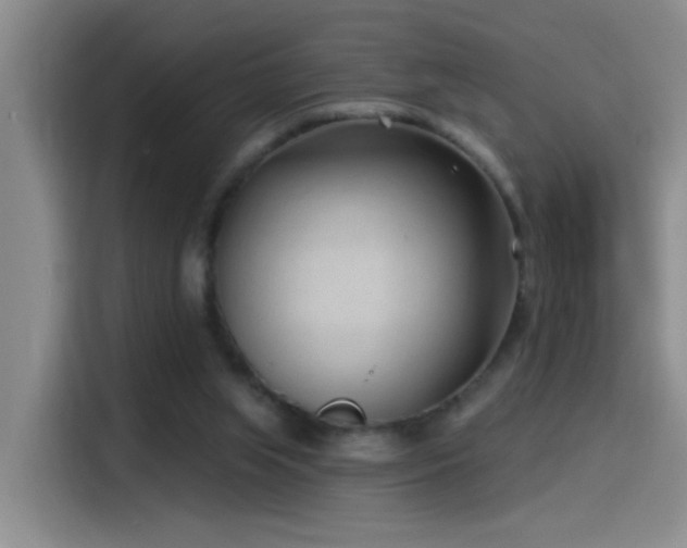 X0000115520063200911061425