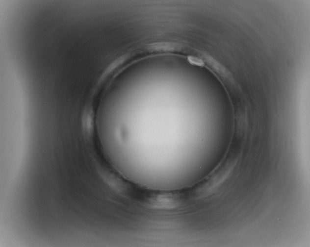 X0000115520064200911061425