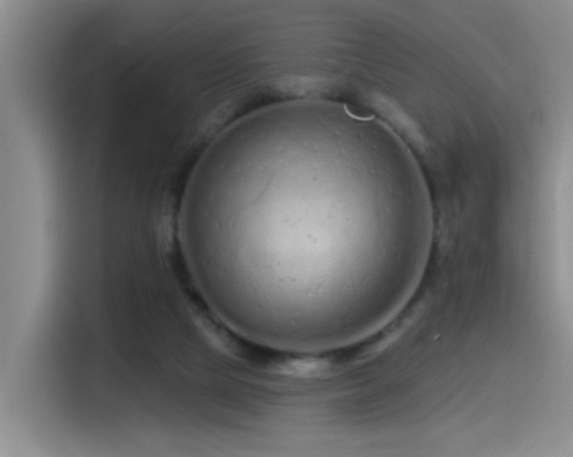 X0000115520065200911061425