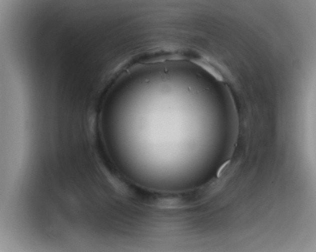 X0000115520066200911061425