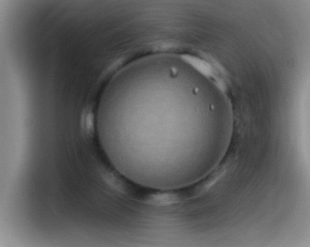 X0000115520067200911061425
