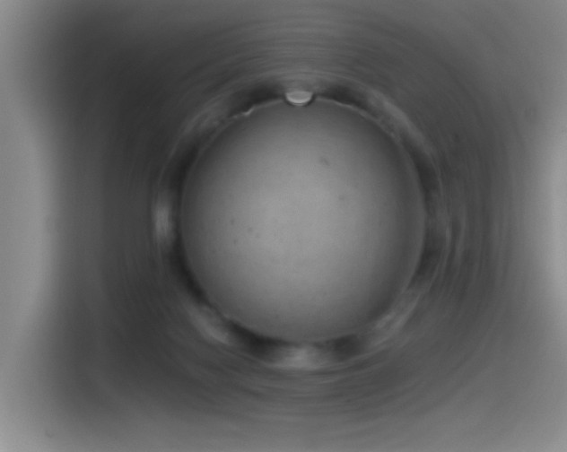 X0000115520074200911061426